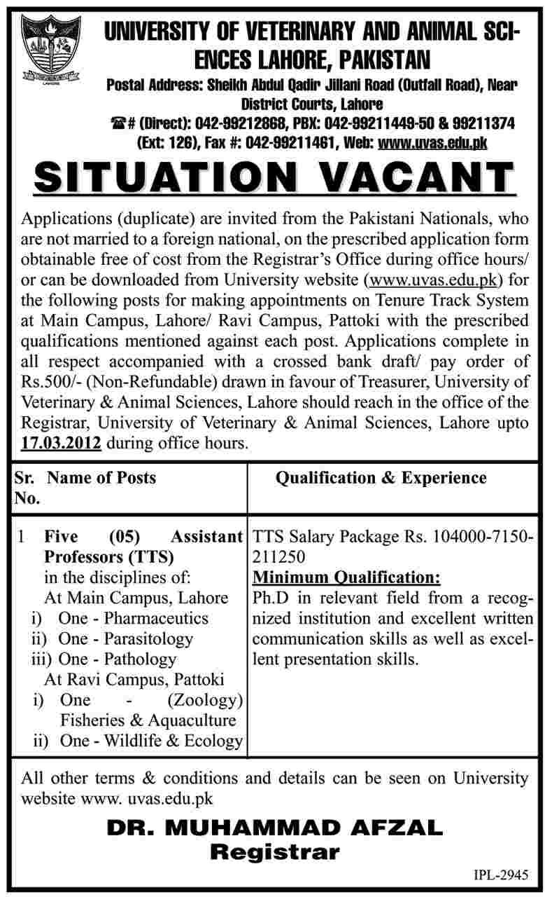 University of Veterinary and Animal Sciences, Lahore (Govt Jobs) Requires Staff