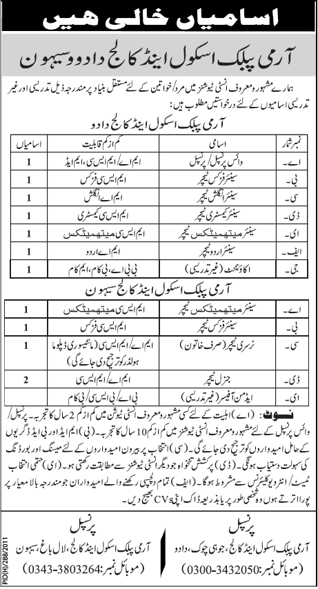 Army Public School & College Dadu and Sehwan Job Opportunities
