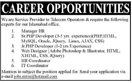 IT Professionals at Services Provider to Telecom Operators