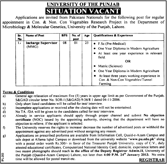 Punjab University Job 2013 for Incharge Supervisor at Department of Microbiology & Molecular Genetics (MMG)
