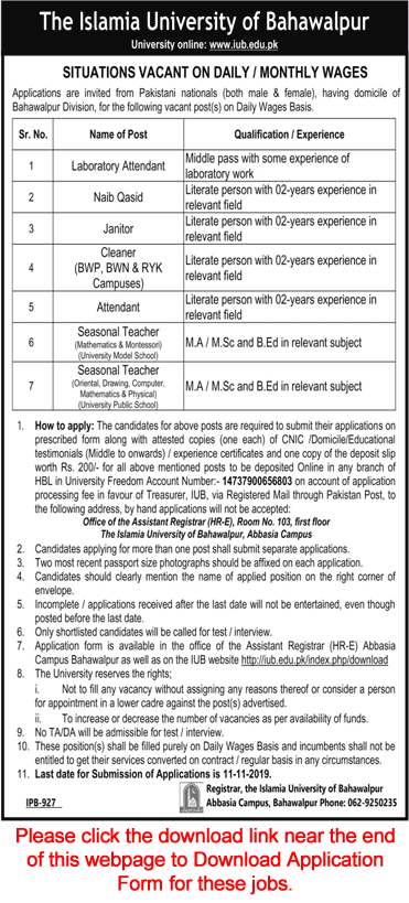 Islamia University of Bahawalpur Jobs October 2019 November Application Form Download Latest
