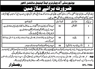 University of Veterinary and Animal Sciences Ravi Campus Pattoki Jobs 2023 September UVAS Latest