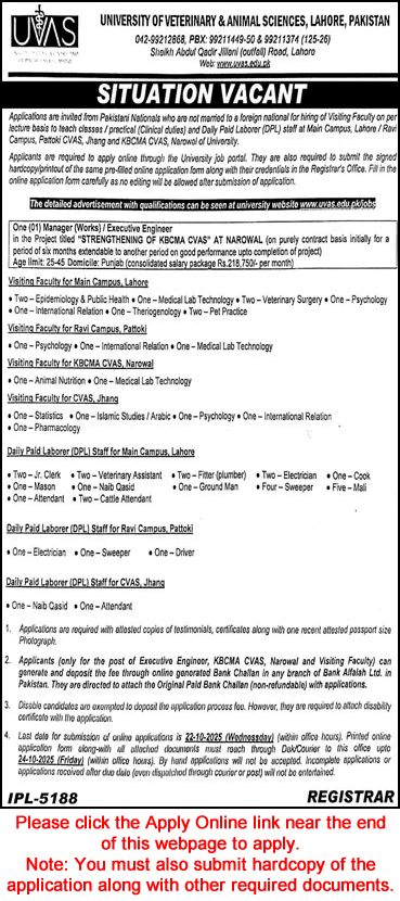 University of Veterinary and Animal Sciences Jobs October 2025 Apply Online Teaching Faculty & Others UVAS Latest