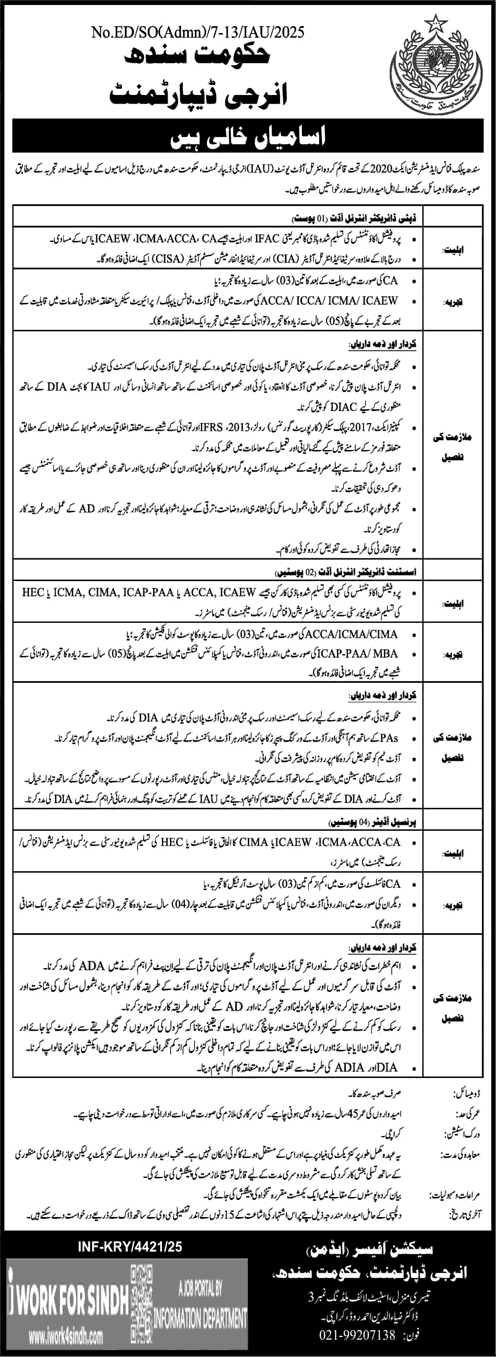 Energy Department Sindh Jobs December 2025 Deputy / Assistant Directors & Principal Auditors Latest