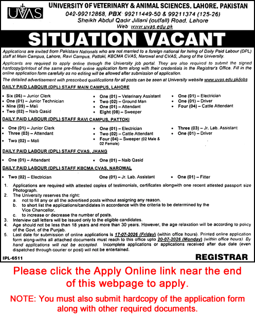 University of Veterinary and Animal Sciences Jobs June 2026 July Apply Online Clerks, Sweepers, Mali & Others UVAS Latest