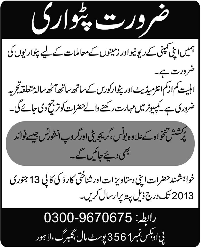 Patwari Jobs 2013 in a Company