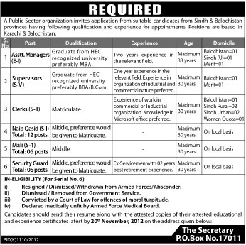 A Public Sector Organization Needs Staff