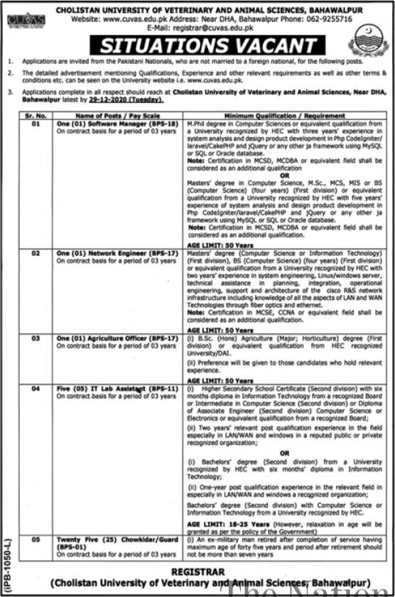 CUVAS Bahawalpur Jobs December 2020 Cholistan University of Veterinary and Animal Sciences Latest